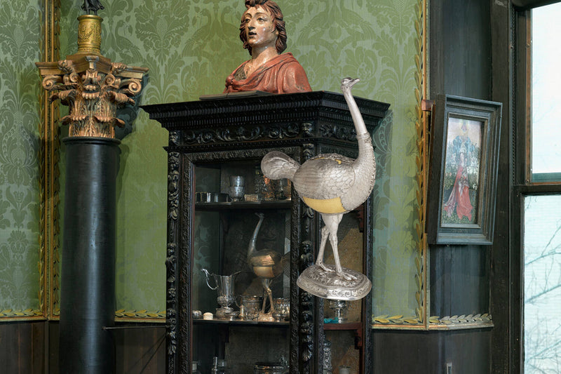The Long History of the Ostrich Egg