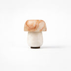 Shroom Dot | No. 0208