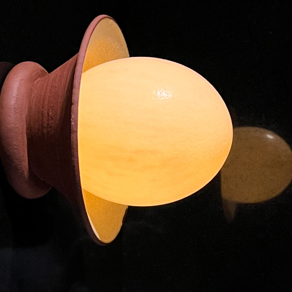 Ceramic EGG Wall Lamp