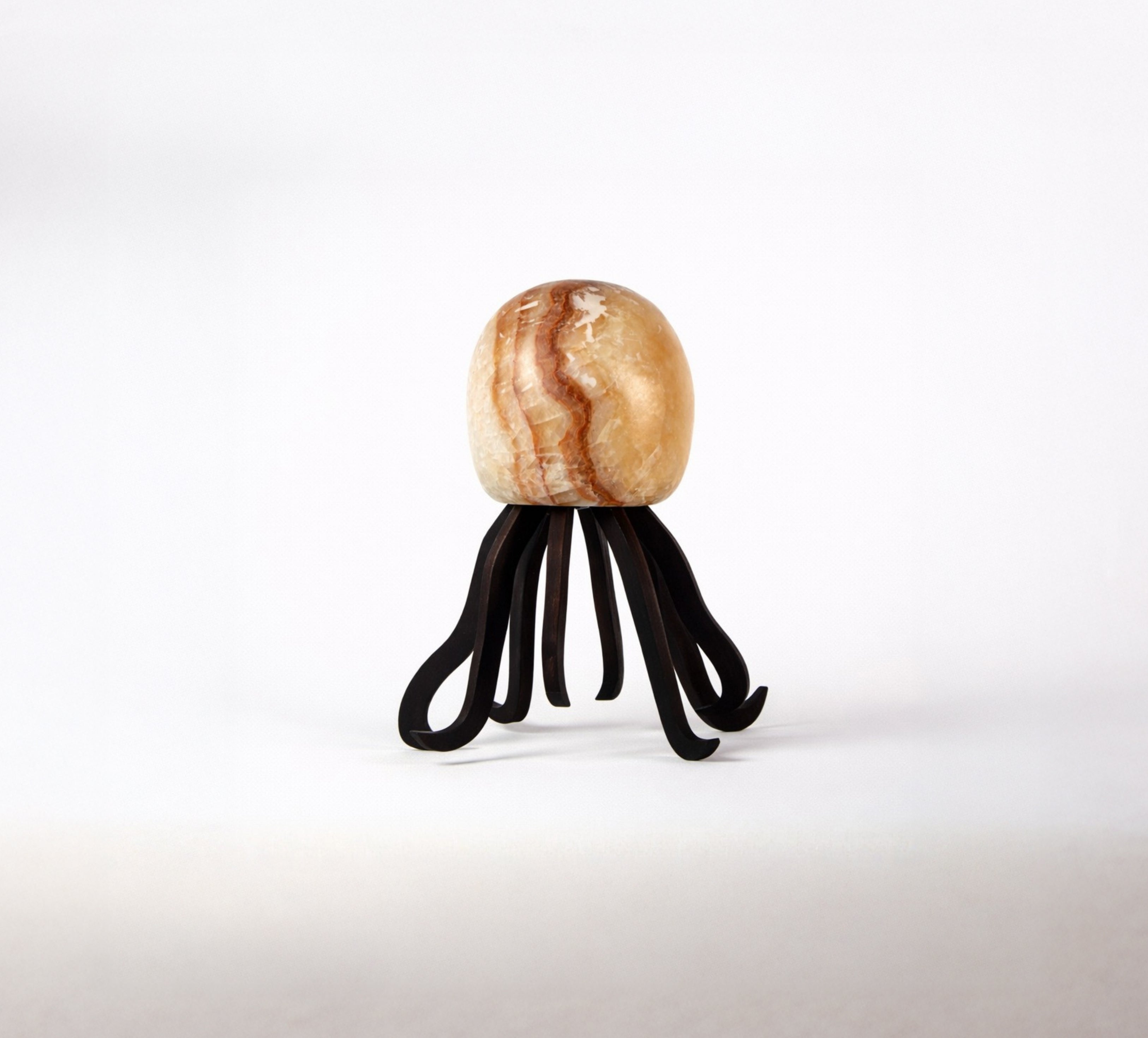 Seeba Maple