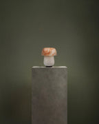 Shroom Dot No. 0201