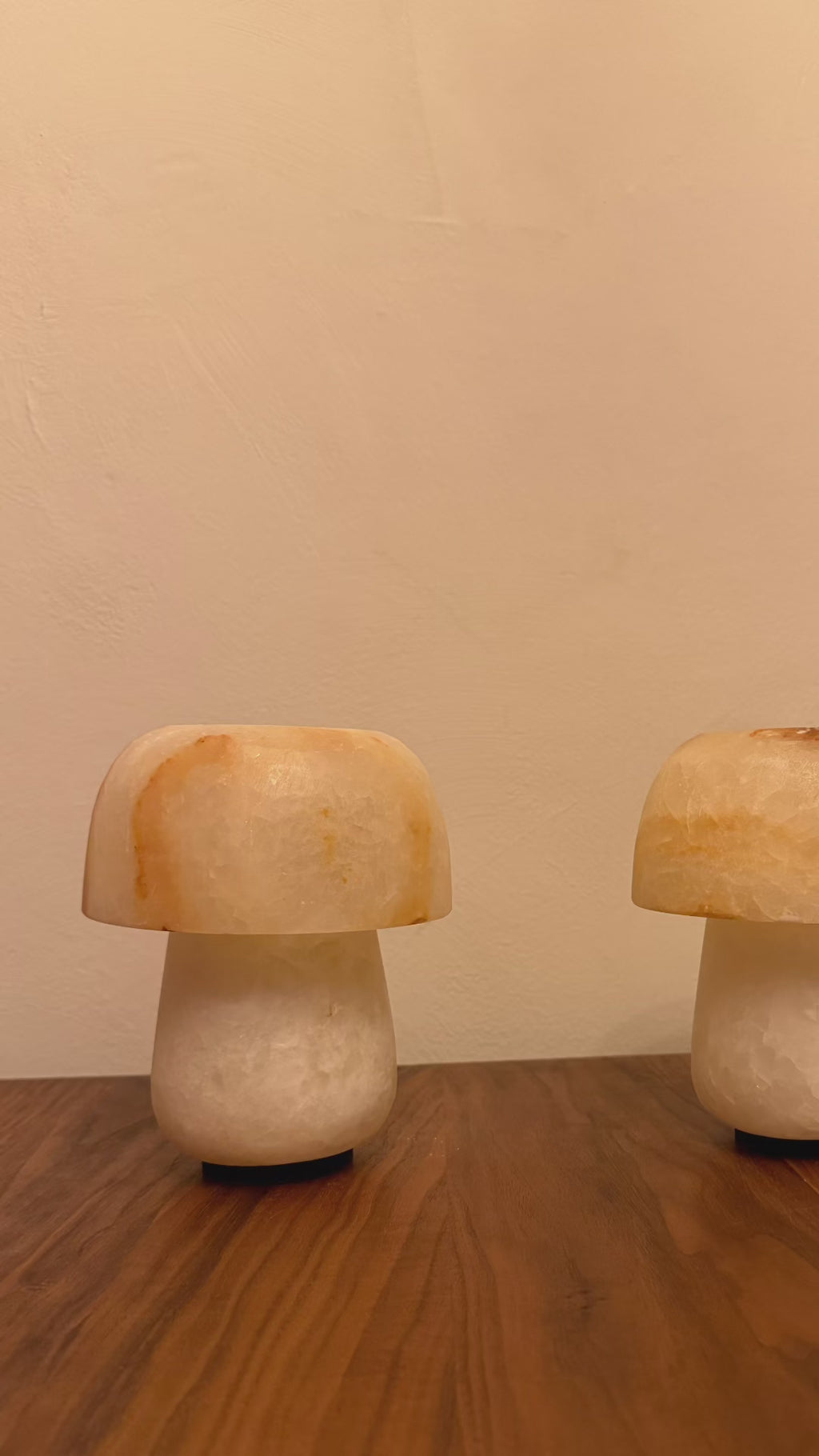 Shroom Dot | No. 0208