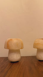 Shroom Dot | No. 0208