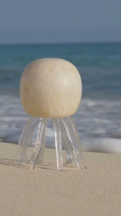Seeba Bubbly