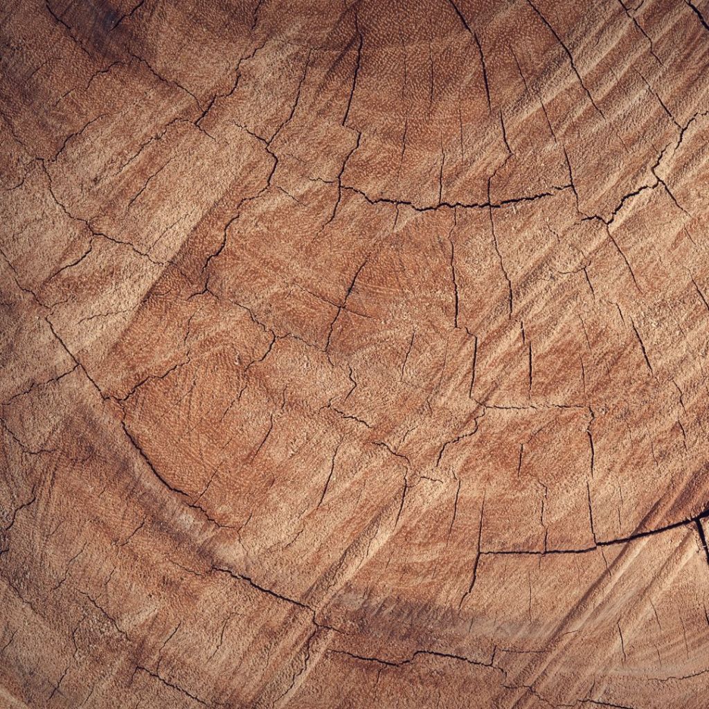 Wood: A Timeless Material in Swedish Tradition and Contemporary&nbsp;Design